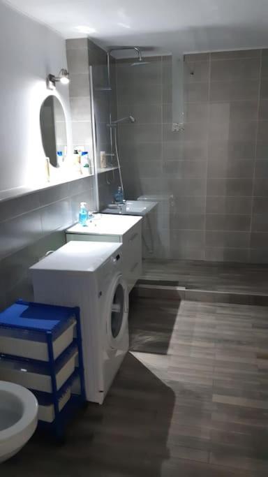 Buna Ziua Apartment Tonitza Nic. クルージュ＝ナポカ エクステリア 写真