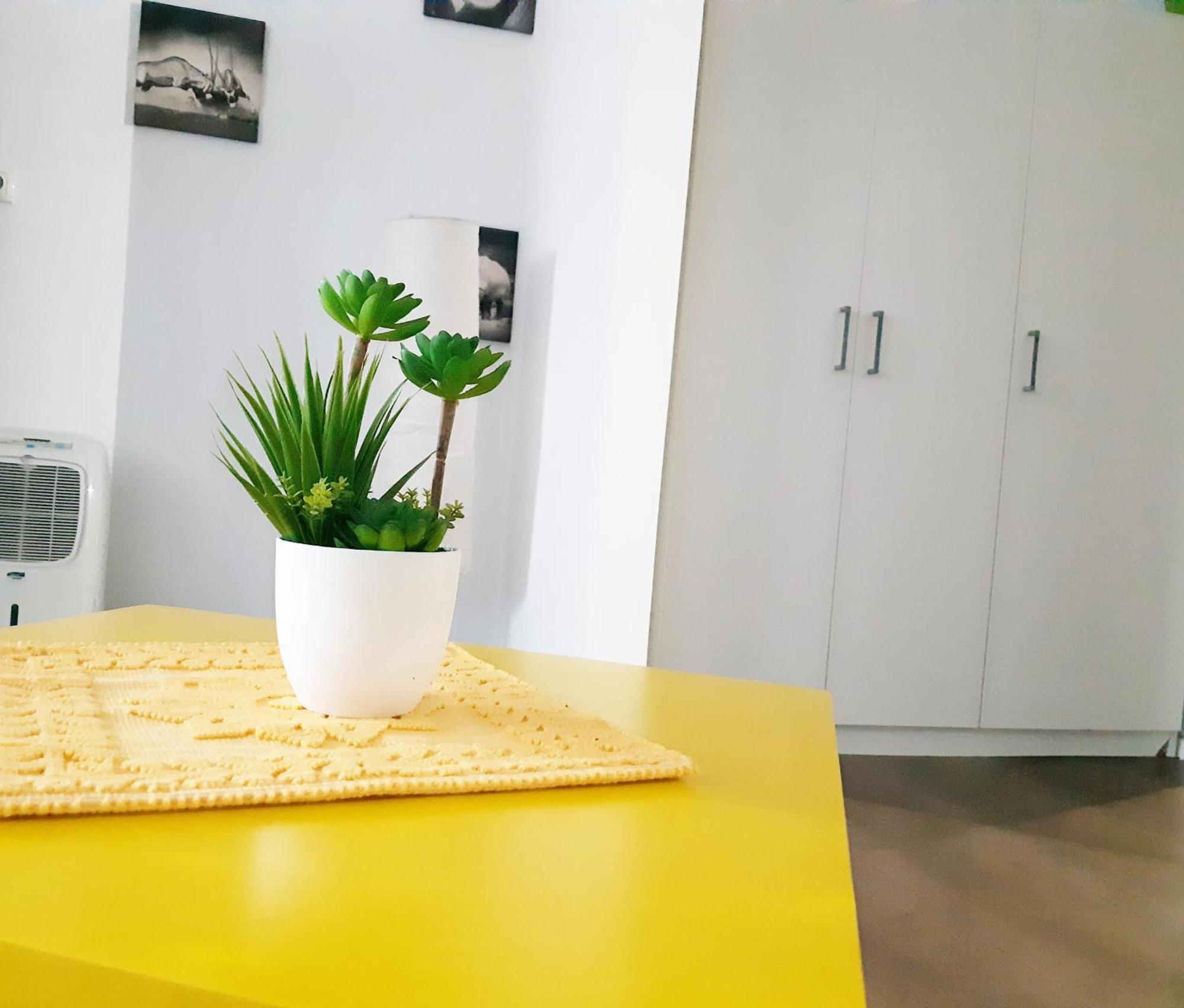 Buna Ziua Apartment Tonitza Nic. クルージュ＝ナポカ エクステリア 写真